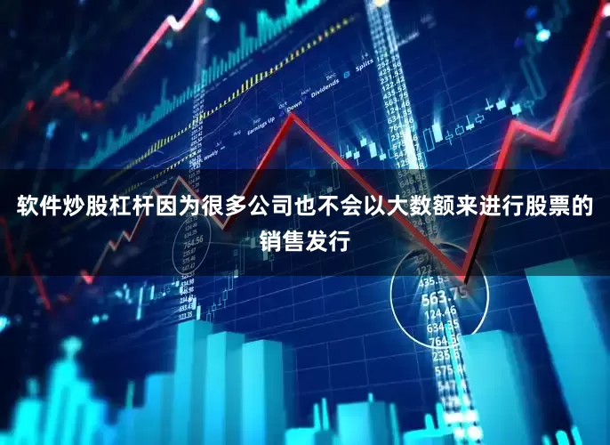 软件炒股杠杆因为很多公司也不会以大数额来进行股票的销售发行