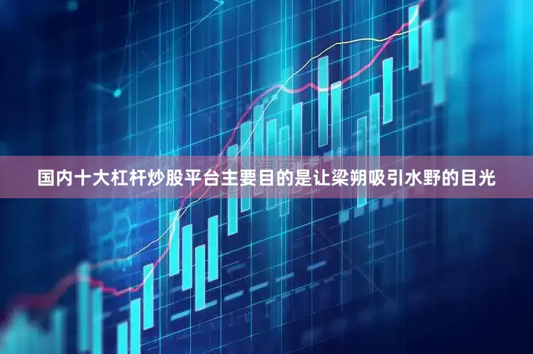 国内十大杠杆炒股平台主要目的是让梁朔吸引水野的目光