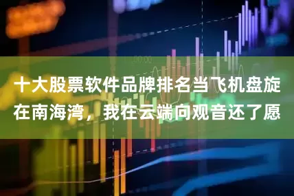 十大股票软件品牌排名当飞机盘旋在南海湾，我在云端向观音还了愿