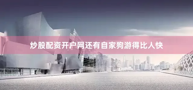 炒股配资开户网还有自家狗游得比人快