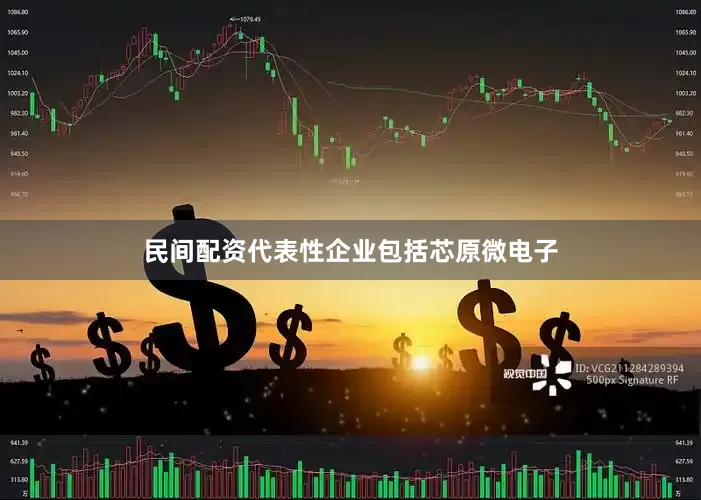 民间配资代表性企业包括芯原微电子